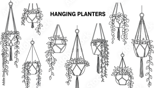 Collection of various intricately designed macrame hanging planters with lush trailing foliage