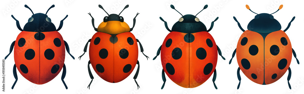Obraz premium PNG Colorful ladybug illustration collection on transparent background