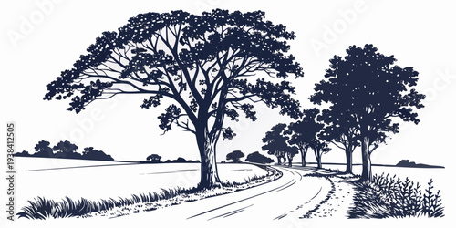 a drawing of a road with trees on the side Vector