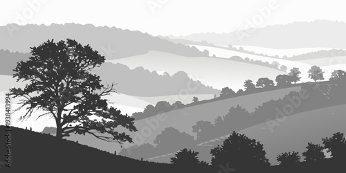 Silhouette of a tree on a misty hillside landscape at dawn Vector