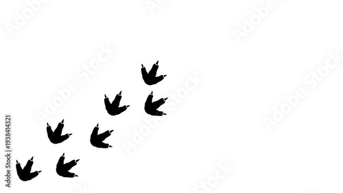 Dinosaur footsteps appearing one by one on white background