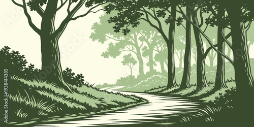 A serene pathway lined with tall trees in a tranquil forest setting Vector