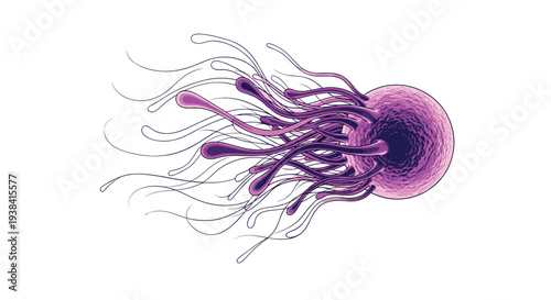 Microscopic view of a biological cell or organism features long flowing purple flagella and a detailed textured core structure.