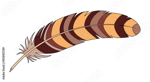 Detailed illustration of a bird feather with brown and tan striped patterns isolated on a white background.