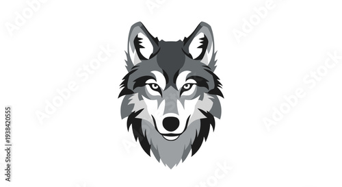 Wolf head with sharp teeth looking.