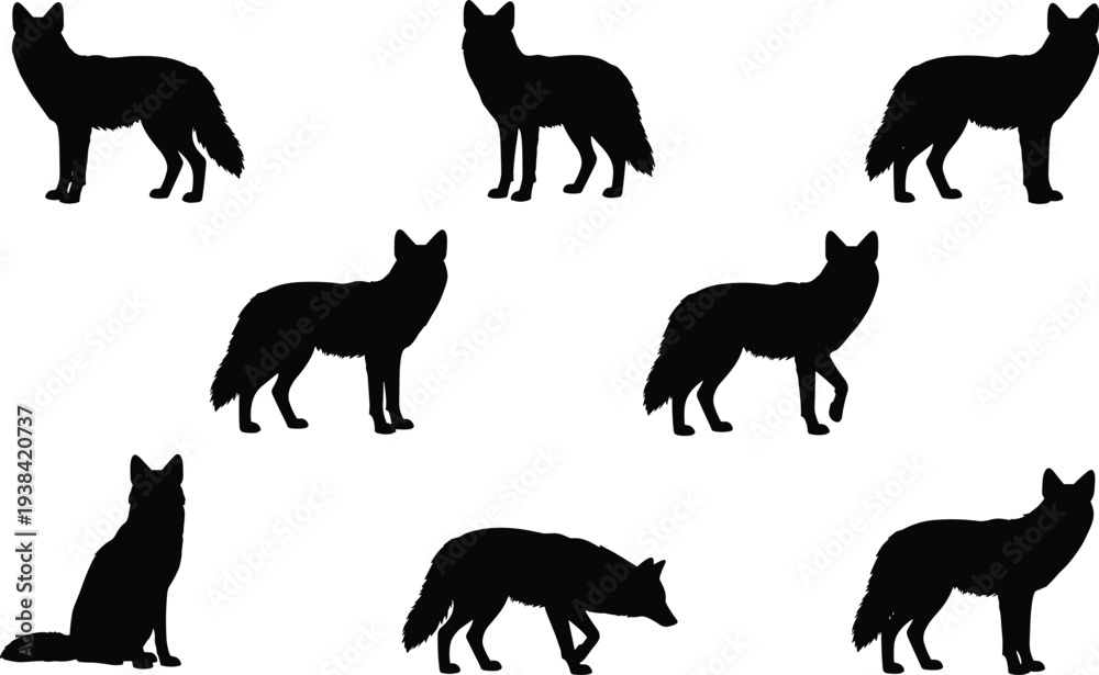 Obraz premium Collection of black fox silhouettes in various poses including standing sitting walking and hunting isolated on white background for wildlife nature and animal design projects
