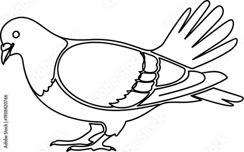Simple black and white outline drawing of a realistic pigeon standing still