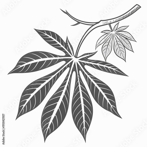 A detailed illustration of a leaf with visible veins and a small stem. Vector