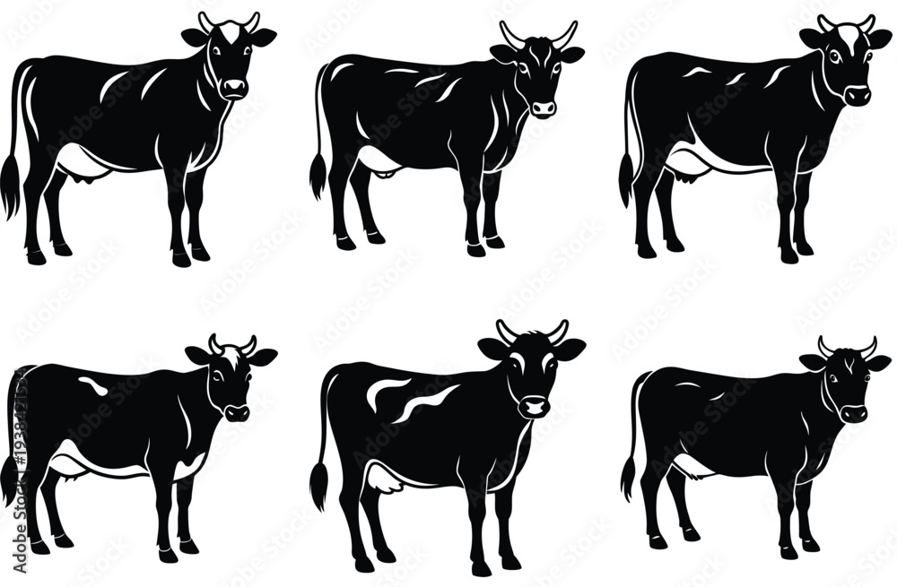 Fototapeta premium Three black cow silhouettes standing in grass isolated on white background
