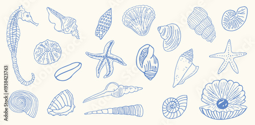  Set of hand drawn seashells drawing ink. Minimalist line art.naive marine sketch. Summer vacation design elements for trendy prints,label,menu cover. Tropical beach shells. Vector flat illustration.