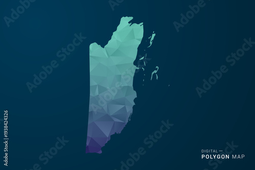 Belize Map - Polygon Style Vector Illustration with Teal Blue Gradient, Low Poly Geometric Design, Digital and Technology Inspired, Clean Silhouette on Dark Background.