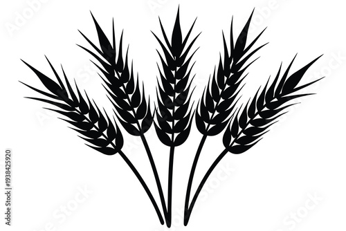 Wheat, Cereal Crop Silhouette