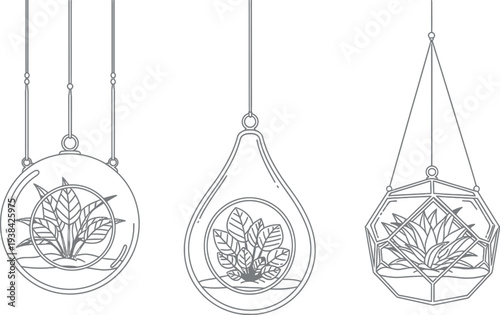 Three diverse hanging glass terrariums featuring simple line art botanical illustrations