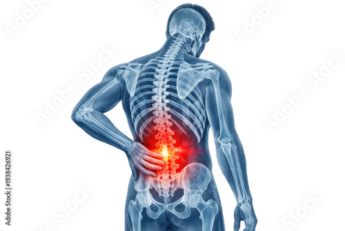 Human anatomy illustration showing a person experiencing lower back pain with ready for compositing on white and transparent background