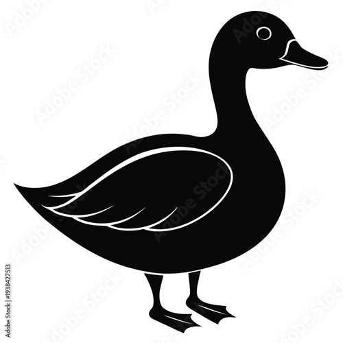 duck illustration vector
