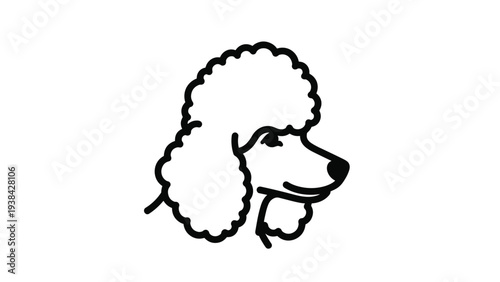 Elegant profile of a fluffy white poodle dog with curly fur and a sophisticated look for pet grooming themes.