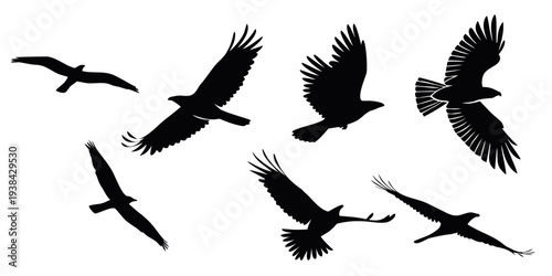 A flock of black birds flying in a clear blue sky. Vector