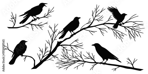 A flock of black birds perched on a bare tree branch against a white background Vector