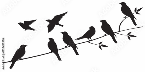 A diverse group of birds perched on a branch in a natural setting Vector