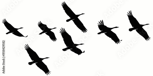 A flock of birds flying in a v-formation against a white background Vector