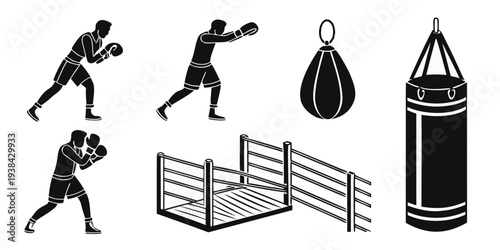 A variety of boxing equipment including punching bags and a speed bag Vector