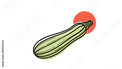 Detailed illustration of a green zucchini squash positioned diagonally with a vibrant red circular shape in the background.