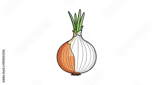 Detailed illustration of a whole onion with its brown papery skin partially peeled away to reveal the white layered flesh inside.