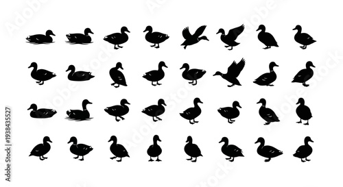 silhouettes of animals