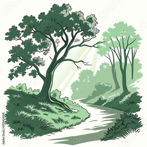 A serene and lush forest path with vibrant green trees and foliage Vector