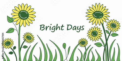 Bright daffodils blooming in a field of green on a sunny day Vector