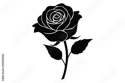 Rose, Floral Silhouette