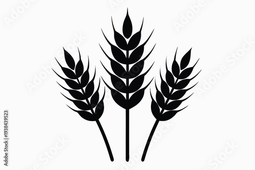 Wheat, Grain Harvest Symbol