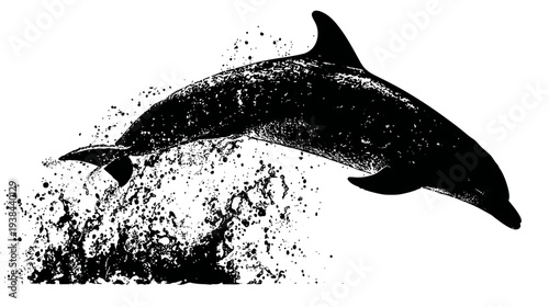 Leaping dolphin silhouette emerging from splashing water in black and white art