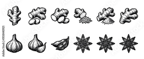 Hand-drawn spice illustrations of ginger root, garlic bulb, star anise, and cardamom pods shown in various forms like sliced, grated, and powdered in a retro sketch style