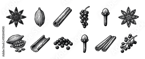 Collection of various spices illustrated in a detailed black and white vintage engraving style, featuring star anise, cardamom, cinnamon sticks, cloves, and black peppercorns