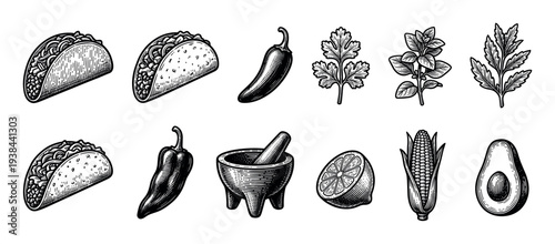 Set of traditional Mexican food illustrations including tacos, chili peppers, avocado, corn, and herbs in a detailed black and white vintage engraving or woodcut art style