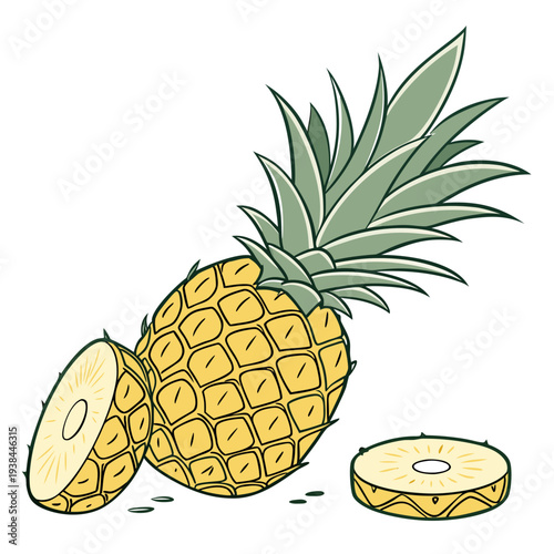 A vibrant illustration of a pineapple with slices on a white background Vector