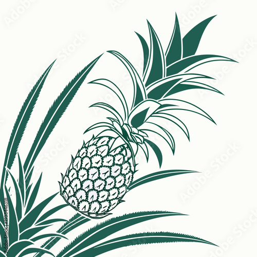 A close-up view of a pineapple plant with a single fruit growing amidst lush green leaves. Vector