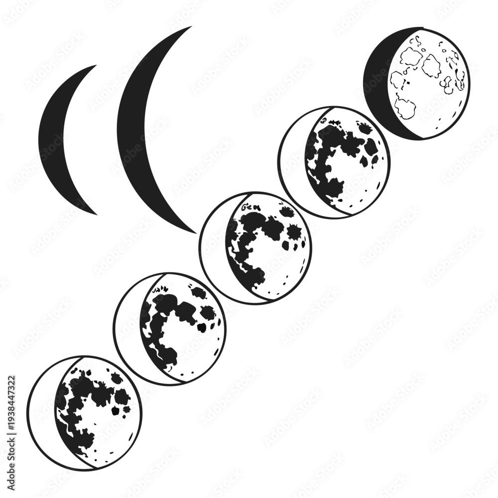 Obraz premium Phases of the moon illustrated in a sequence from new moon to full moon Vector