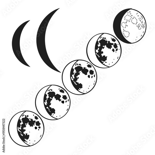 Phases of the moon illustrated in a sequence from new moon to full moon Vector