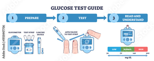Glucose testing guide visualizes prepare-test-read steps using glucometer, test strip, and lancet to explain blood sugar monitoring and ranges, transparent background.