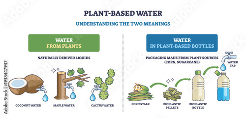 Plant-based water concept showing liquids from plants and water in plant-derived bottles, coconut, cactus, and bioplastic bottle illustrate sources and packaging, transparent background.