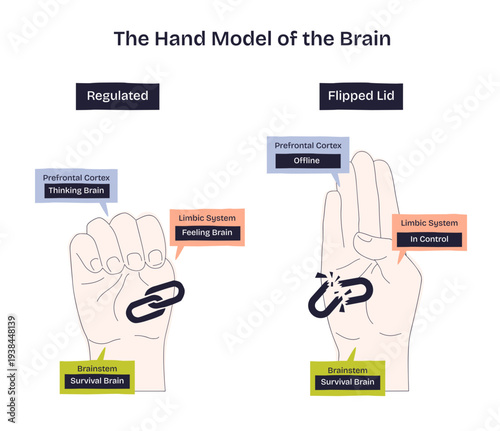 Hand brain model contrasts regulation vs flipped lid with fist and open hand, shows prefrontal cortex, limbic system, brainstem, and a broken link symbolizing disconnection, transparent background.