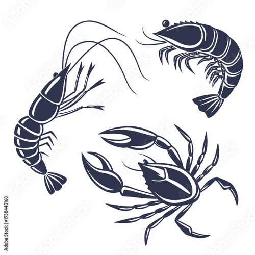 A detailed illustration showcasing the intricate anatomy of various crustaceans. Vector