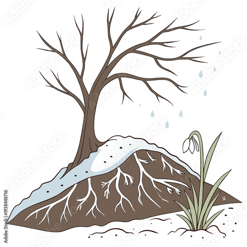 A lone tree stands on a rocky hillside with a blanket of snow covering the ground Vector