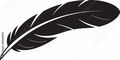 A single black feather depicted in a simple graphic style