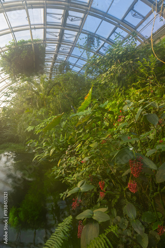 Photography Tropical plants thriving inside glass Fata Morgana Greenhouse Prague