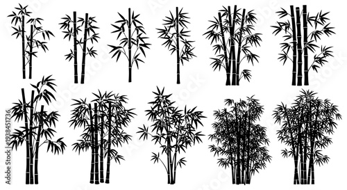Bamboo Forest Silhouette Collection: Diverse Stems and Foliage