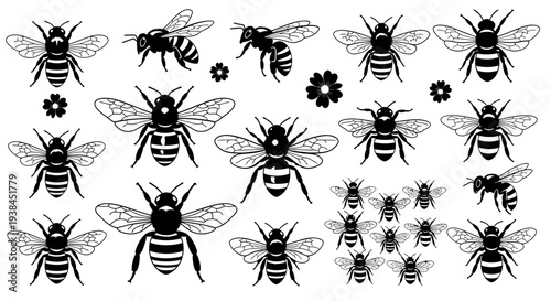 Black and White Bee Illustrations: Various Poses and Sizes with Flowers