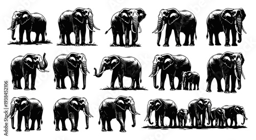 Collection of African Elephants in Various Poses, Vintage Sketch Style
